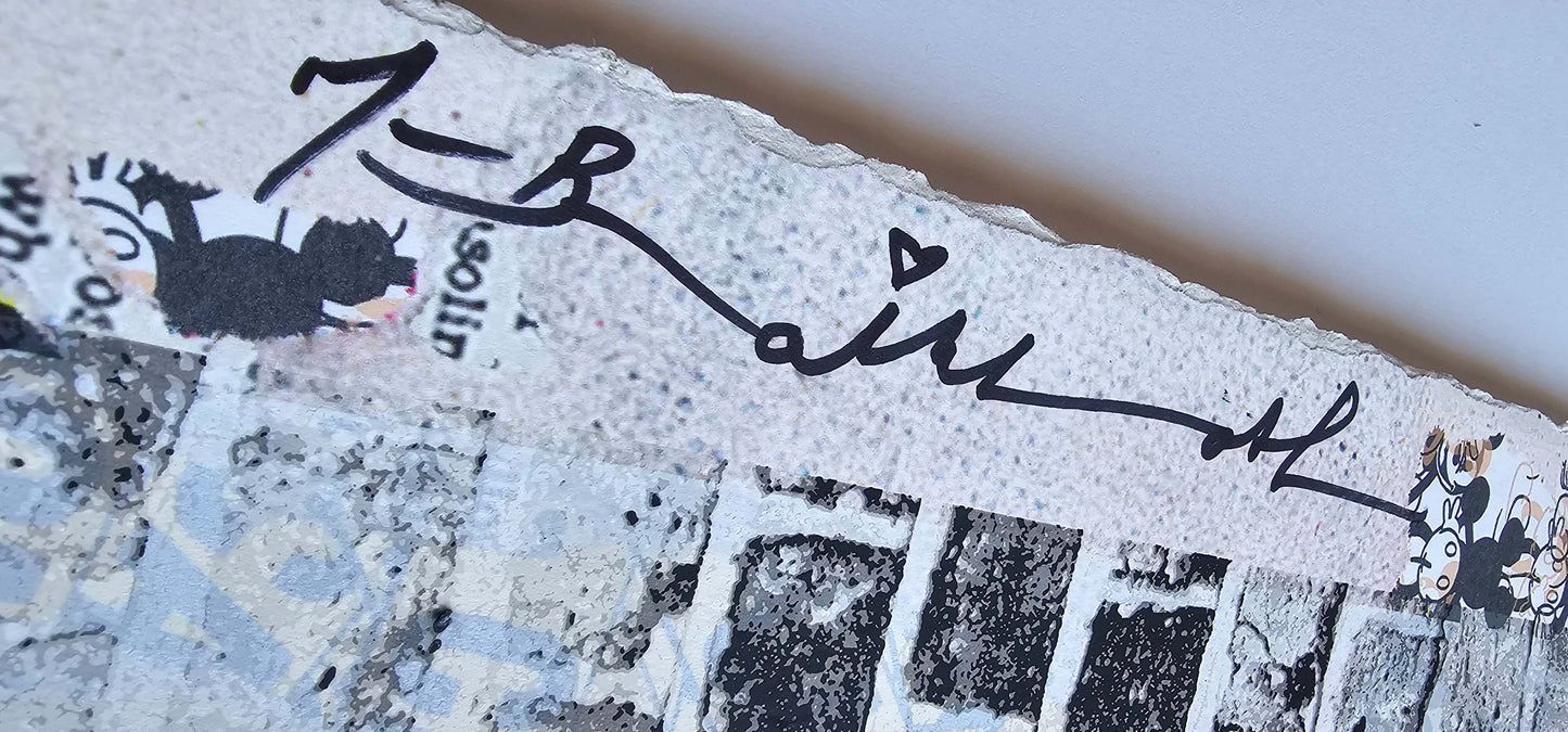 Mr brainwash signature