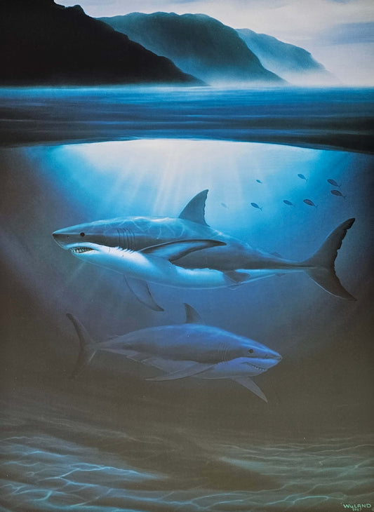 Great White sharks art by Wyland