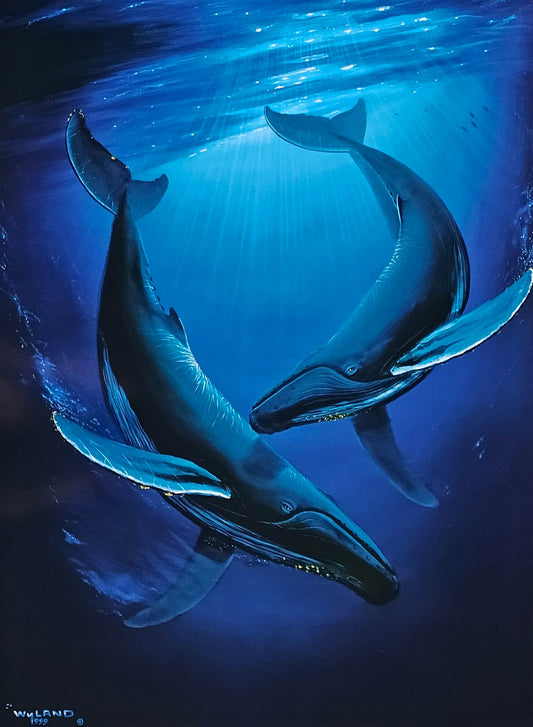 Wyland "Song of the Deep" humpback whale art