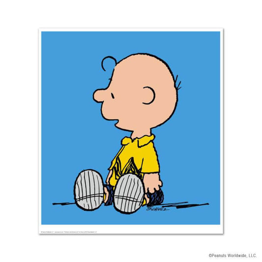 Charlie Brown Blue Copyright Peanuts Worldwide, LLC.