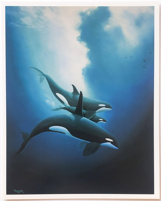 Wyland "Orca Trio" 8x10 Art Print