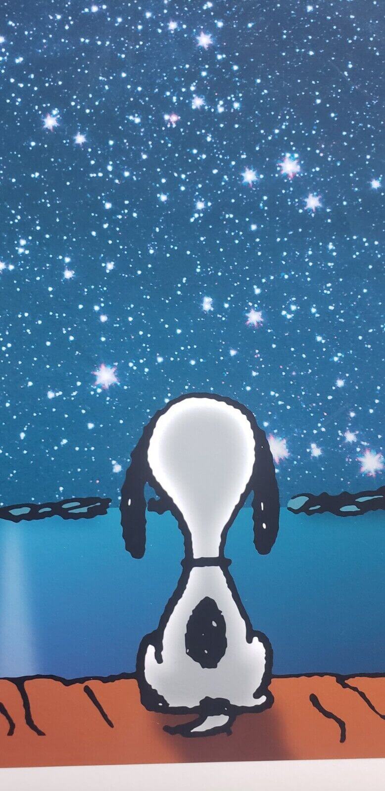 Snoopy dog looking at space